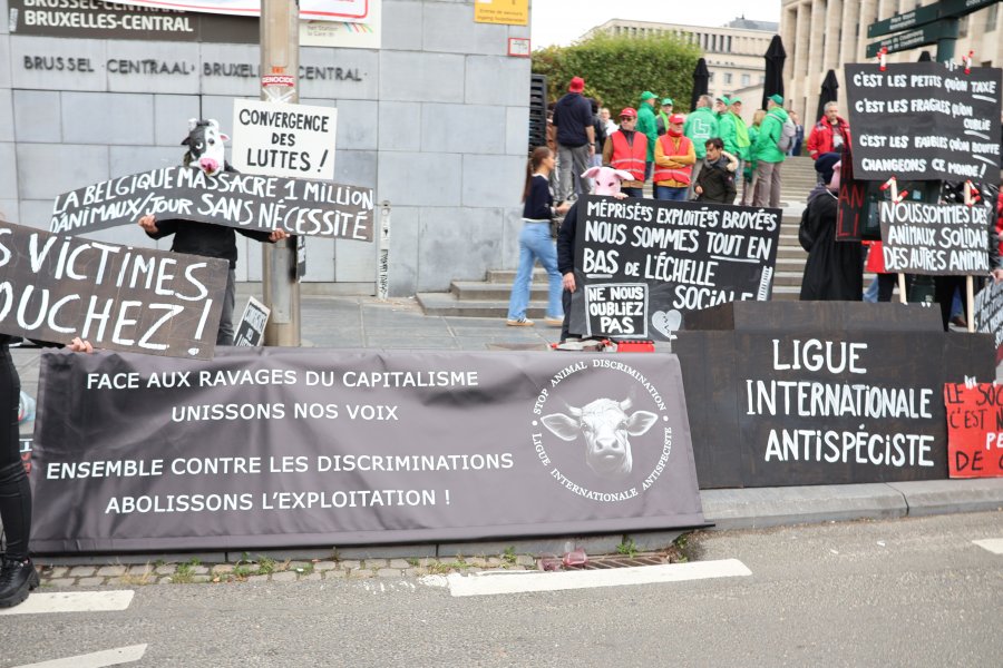 Luttons pour nos droits à toutes et tous ! #625