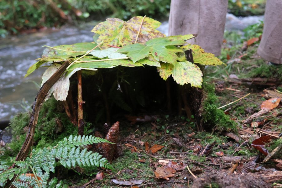 Causes communes, un espace d'échange où d'autres mondes sont possibles #628