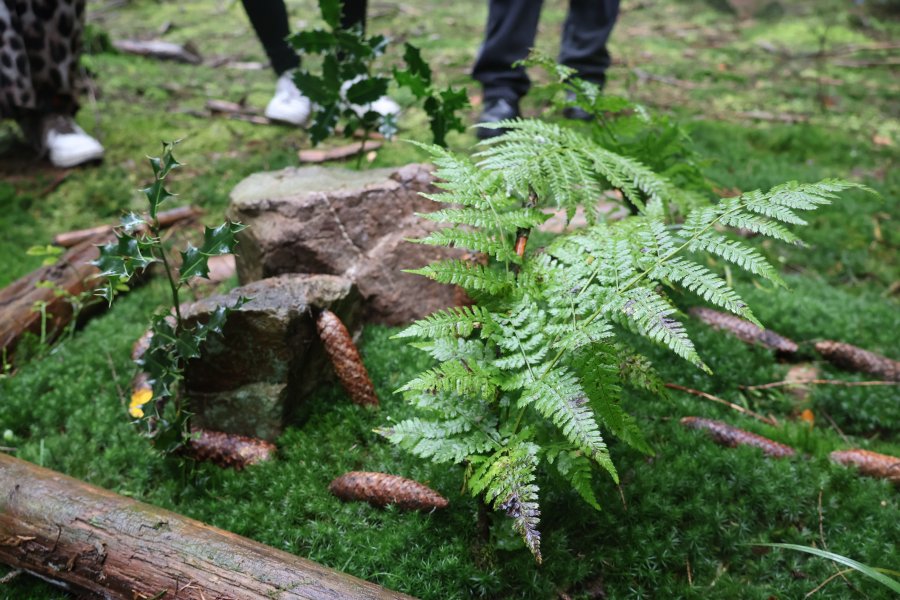 Causes communes, un espace d'échange où d'autres mondes sont possibles #628