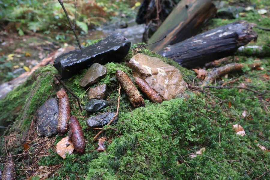 Causes communes, un espace d'échange où d'autres mondes sont possibles #628