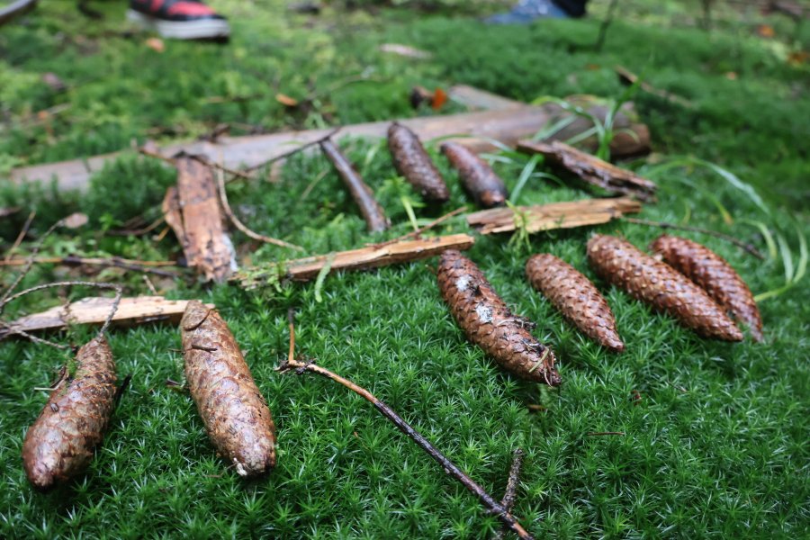 Causes communes, un espace d'échange où d'autres mondes sont possibles #628
