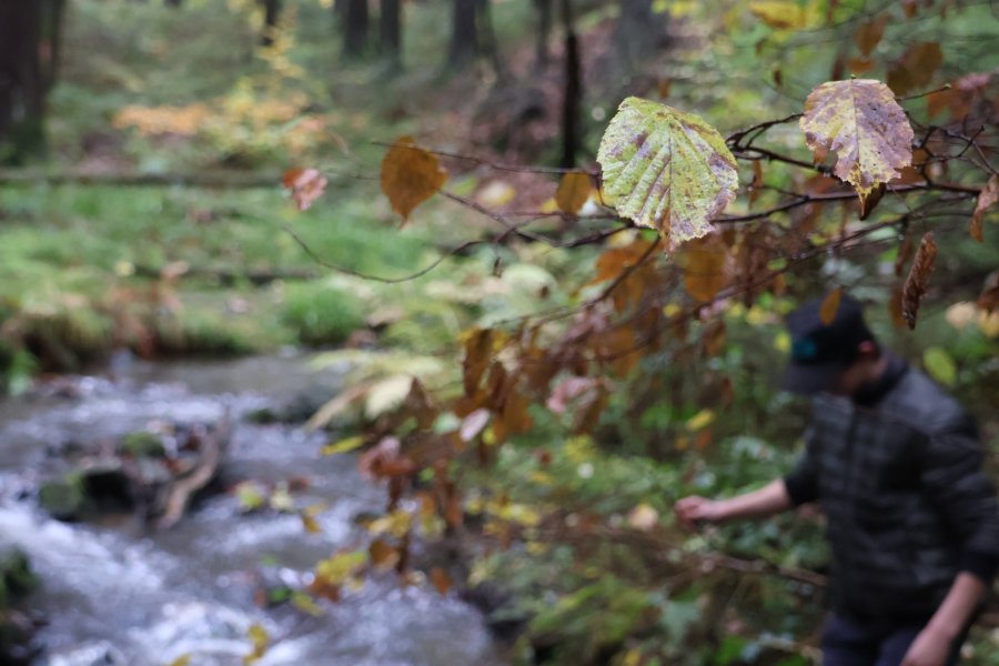 Causes communes, un espace d'échange où d'autres mondes sont possibles #628