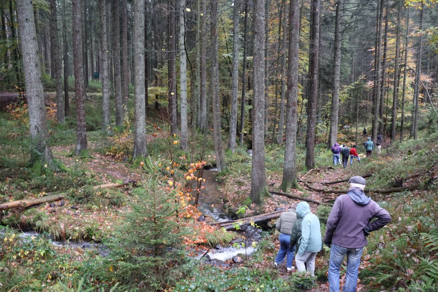 Causes communes, un espace d'échange où d'autres mondes sont possibles #628
