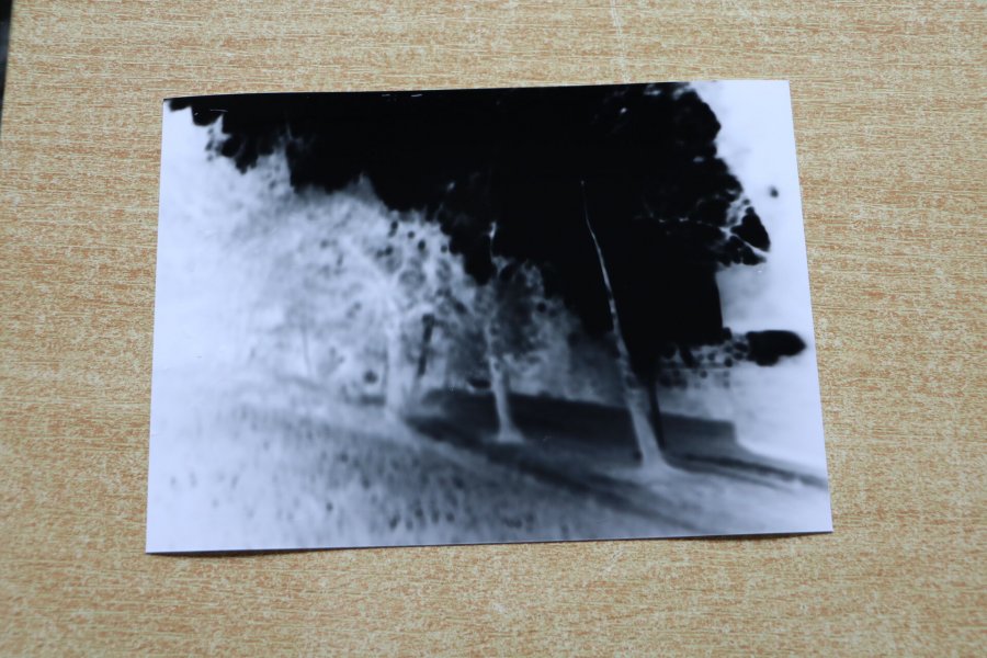 Une formation pour penser la photographie autrement #640