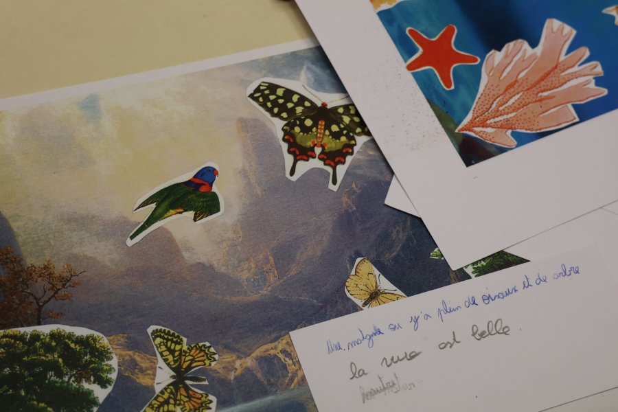 Transformer les créations des jeunes en cartes postales #676