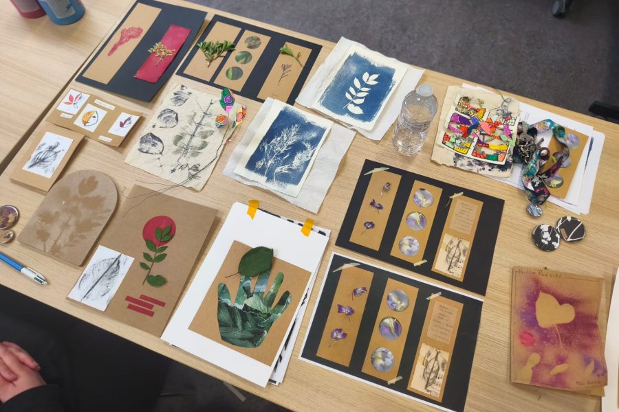 Réinventer l'herbier en un terrain de jeu créatif #712