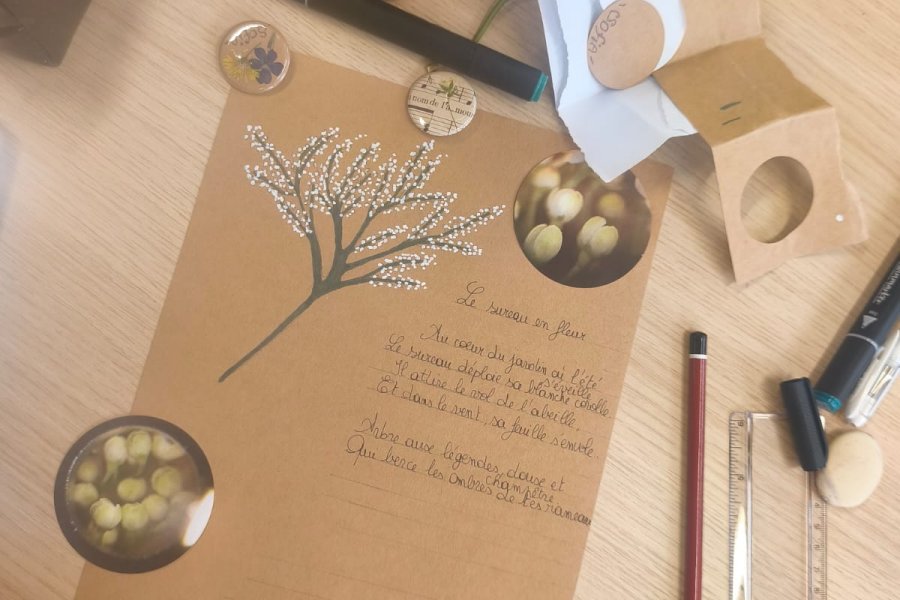 Réinventer l'herbier en un terrain de jeu créatif #712