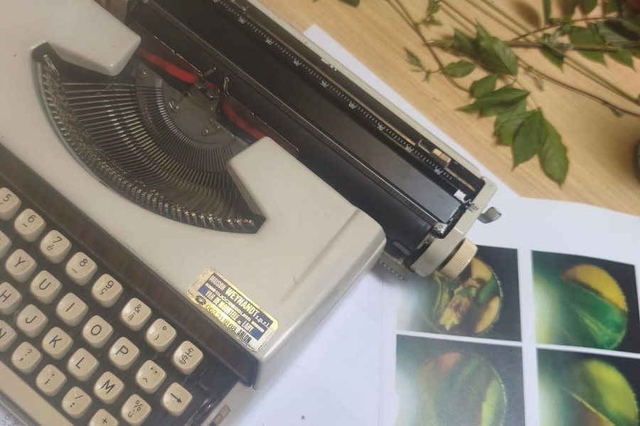 Réinventer l'herbier en un terrain de jeu créatif #712