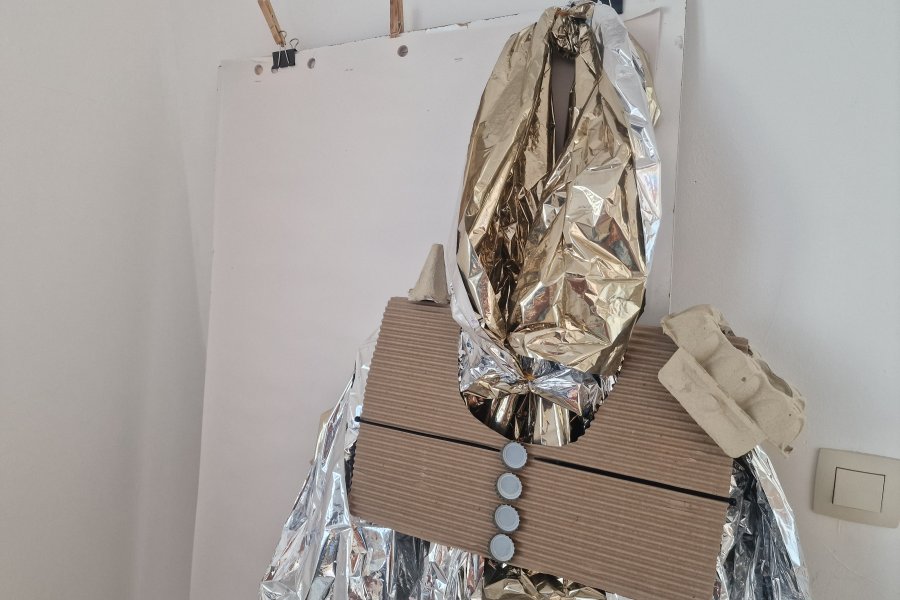 Collection Capsule